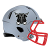 Jacksonville Bulls
